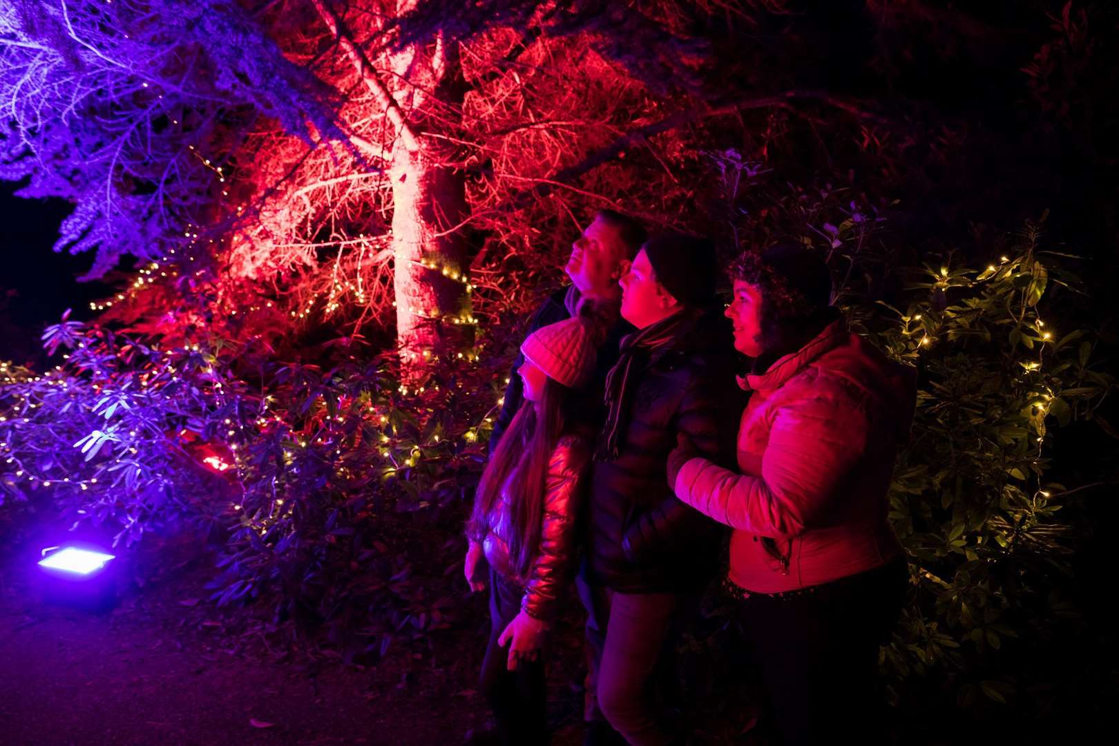 Audley End House's magical Christmas festival, Enchanted, returns this year