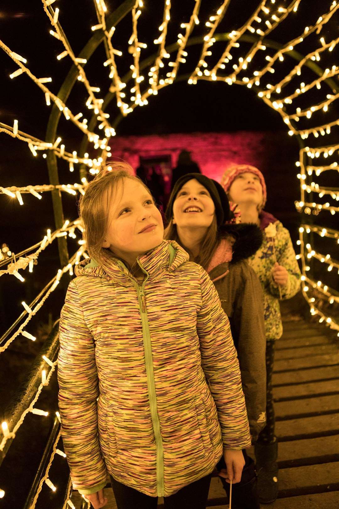 Audley End House's magical Christmas festival, Enchanted, returns this year